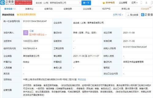信息咨詢服務 在知識海洋中導航的專業燈塔